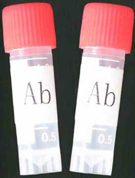 Antigen and Antibody for Drug of Abuse