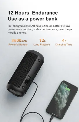 Portable Bluetooth Speaker Wireless Waterproof Speaker