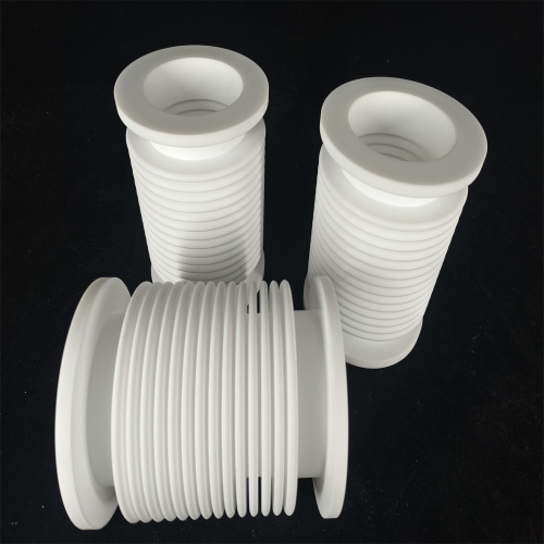 China PTFE Bellows Seal for Extreme Corrosion Resistance Supplier