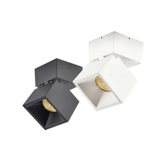 Adjustable Ceiling Mounted 7W Downlight for Commercial Shops