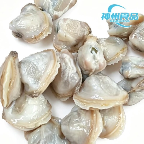Vongole di fiume fresche e vive e pura carne congelata