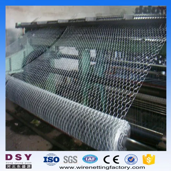 hexagonal wire mesh for cages
