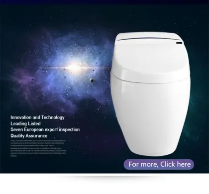 smart smart vagina toilet automatic acrylic toilet