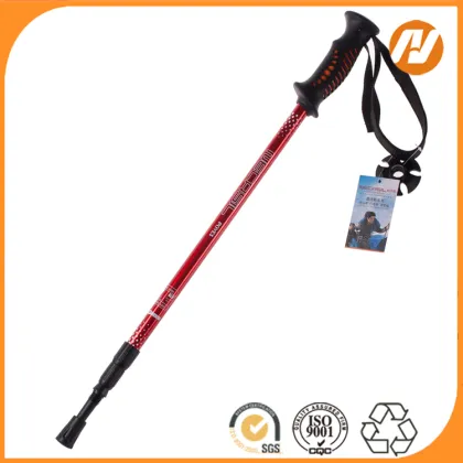 OEM ski Winter sport Cross country Skis with cross country ski straps