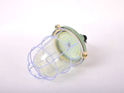 Round LED explosion-proof light