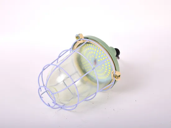 Round LED explosion-proof light