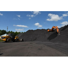 Coal Storage for Coal Chemical Industry