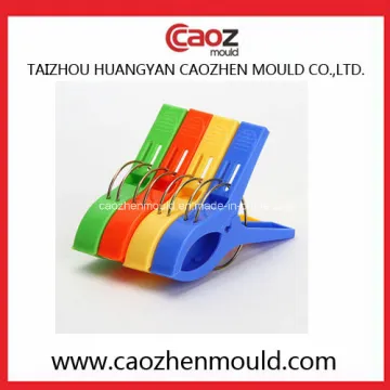 Plastic Injection Big Clothes-Peg Mould in China
