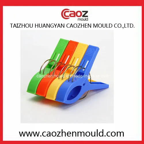 Plastic Injection Big Clothes-Peg Mould in China