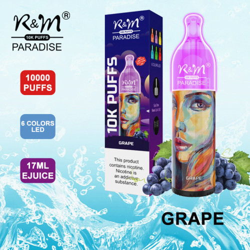 Vente à chaud RVB Vape Vape R&amp;M Paradise