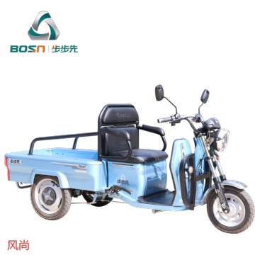 2021 Three Wheels Cargo Electric Tricycle