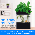 Su Bahçesi Balık Tankı Tesisi Aquaponics