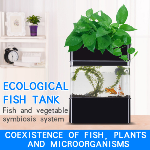 Grewenhouse hydroponic system and aquarium hydroponics
