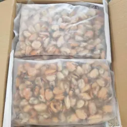 Frozen Boiled Mussel Meat