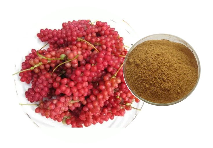 Schisandra Extract Powder