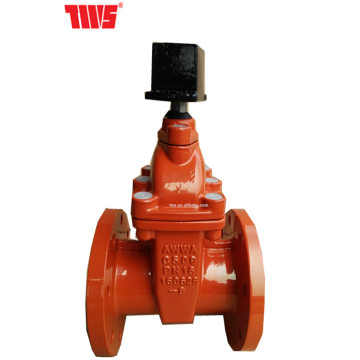 Face to Face DIN 3202 F4 DN 65-300 Ductile Iron Square Head Gate Valve for Sewage and Oil - Made in China (Tianjin)