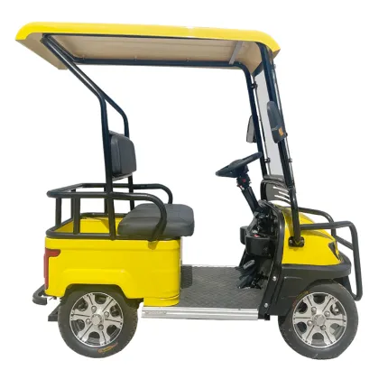 2024 Adults Single Seat Golf Buggy G Wagon Cargo Golf Car