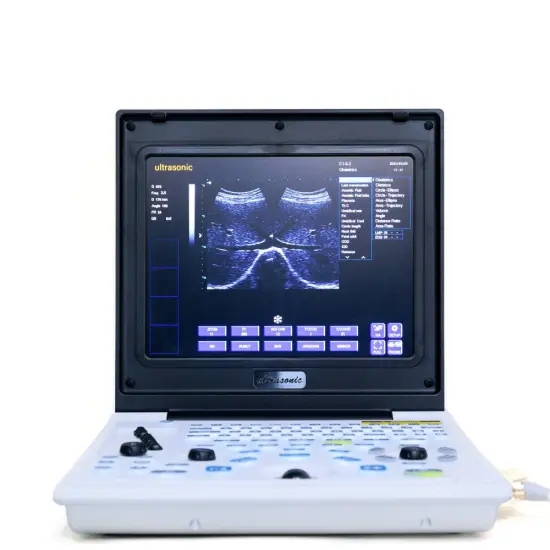 Veterinary ultrasound machine for lion cat uterus examination