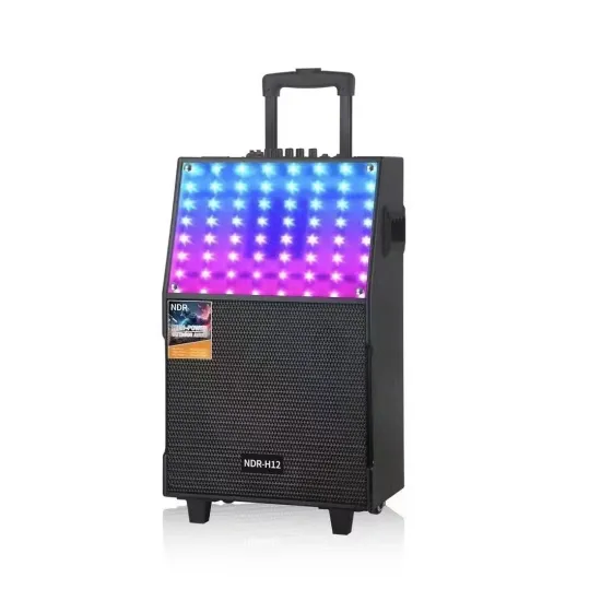Portable 12 Inch Outdoor Wireless Karaoke DJ Bluetooth Speaker