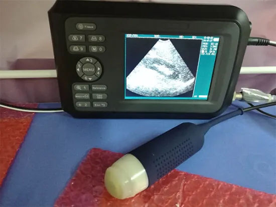 Veterinary Portable Ultrasound Scanner