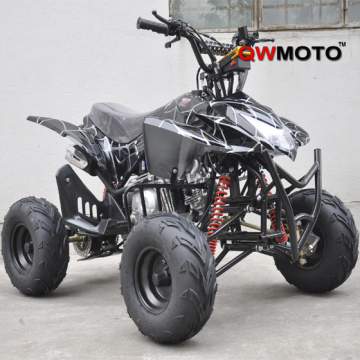 110CC/125CC Sport ATV Quad Bike CE