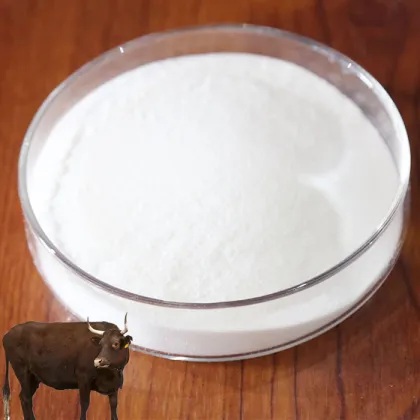 The Benefit Chondroitin Sulfate Powder for Body