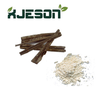 Cortex Magnoliae Officinalis Extract