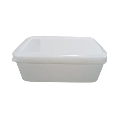 LidRectangular Plastic Hotel Food Kitchen Fresh