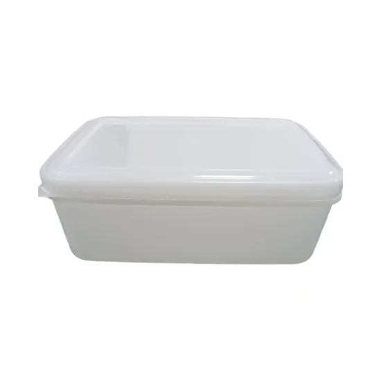 LidRectangular Plastic Hotel Food Kitchen Fresh