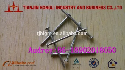 4" H.D.G Square boat nails from Tianjin Hongli