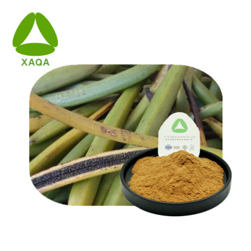 High Purity Natural Organic Vanilla Bean Powder