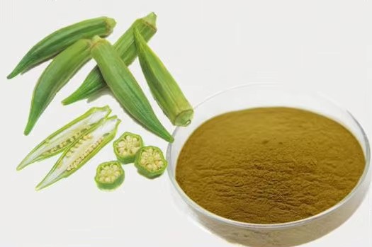 Okra Extract 2223