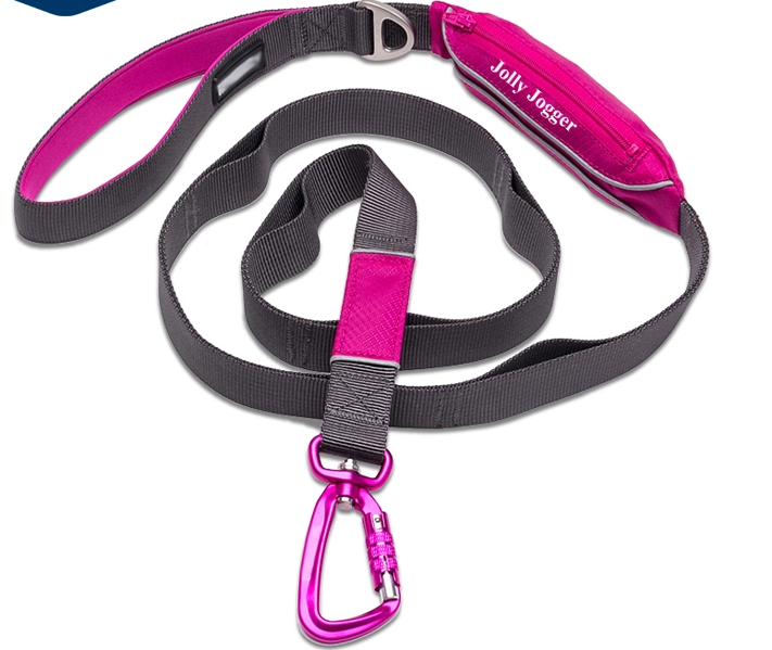 Reflective dog training pouch leash