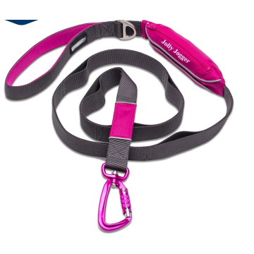 Reflective dog training pouch leash