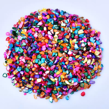 Iridescent Natural Abalone Shell Slices for Nail Art - New Arrival
