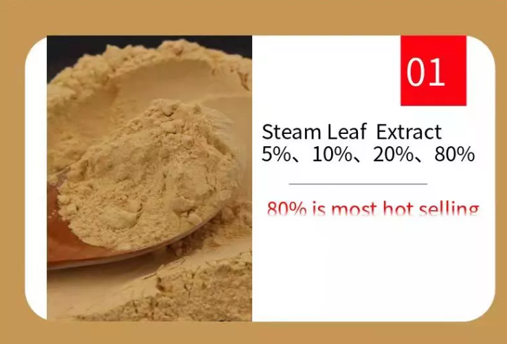 Male Health Ginseng Root Extract