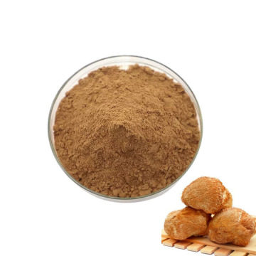 Hot sale hericium erinaceus extract