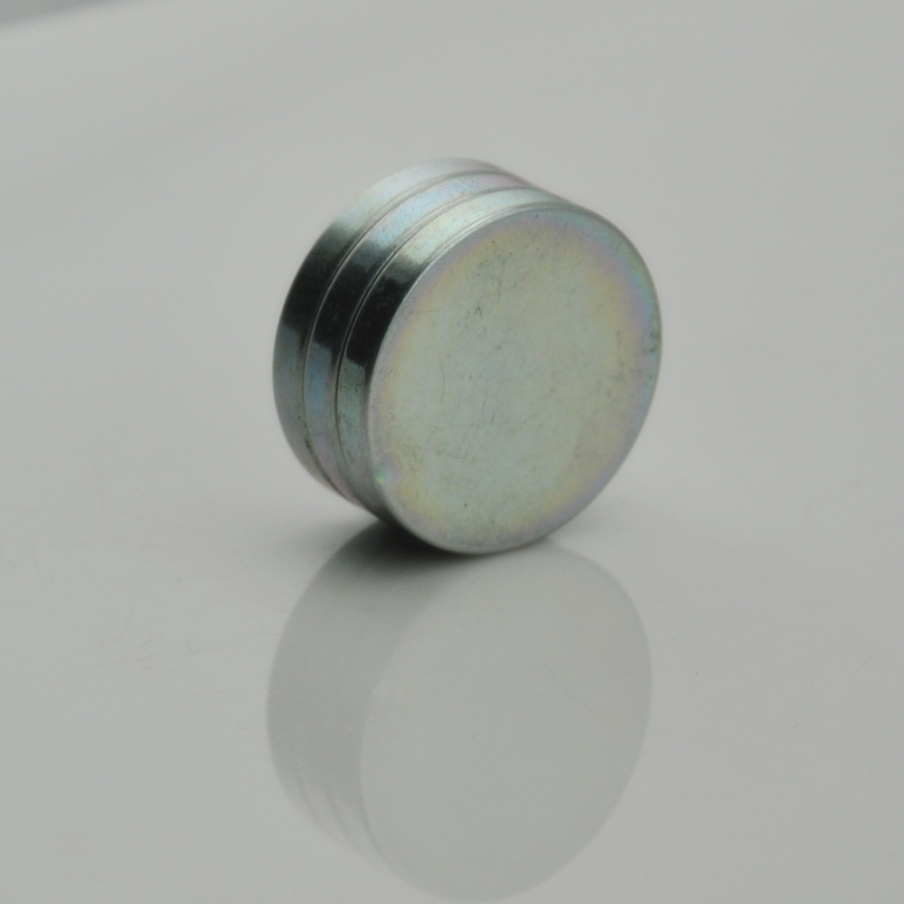 Rare earth roung magnet