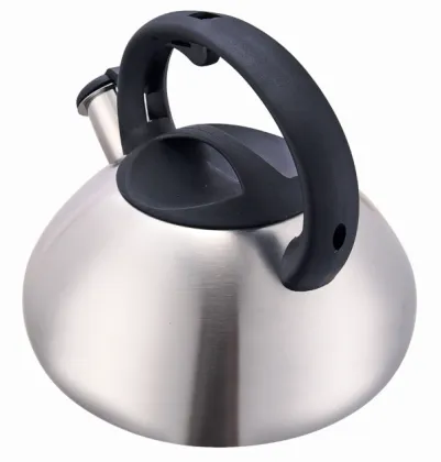 Polish finish tea kettle induction amazon