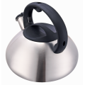 Polish finish tea kettle induction amazon