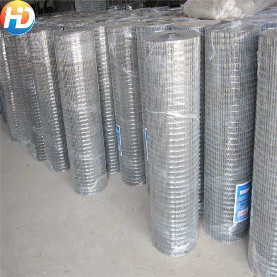 Black Chicken Coop Mesh - Galvanized or PVC Coated Welded Wire Mesh Roll