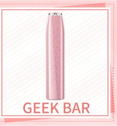 Disposable electronic cigarette geek bar vape