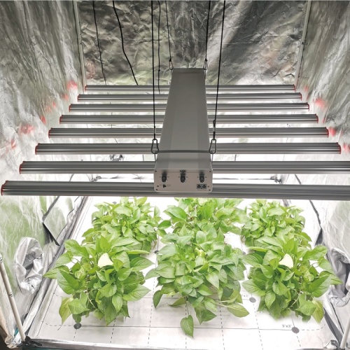 Indoor 1000W Hydro Vertical Plant LED Grow Lamp
