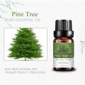 10 ml de aceite de planta natural pura en stock Pino Árbol esencial