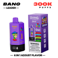 BANG LEADER Stoll 300000 Puffs 6 Flaovr Vape