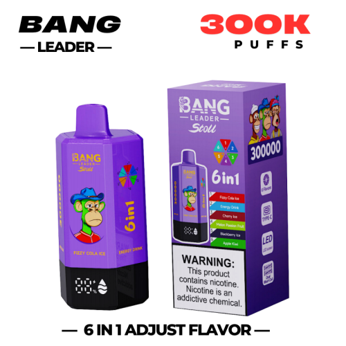 BANG LEADER Stoll 300000 Puffs 6 Flaovr Vape