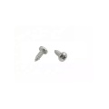 Stainless Steel Head Tapping Screws ISO7049