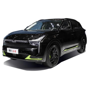 البيع الساخن 2023 Neta U Pro Edition EV SuV للبيع