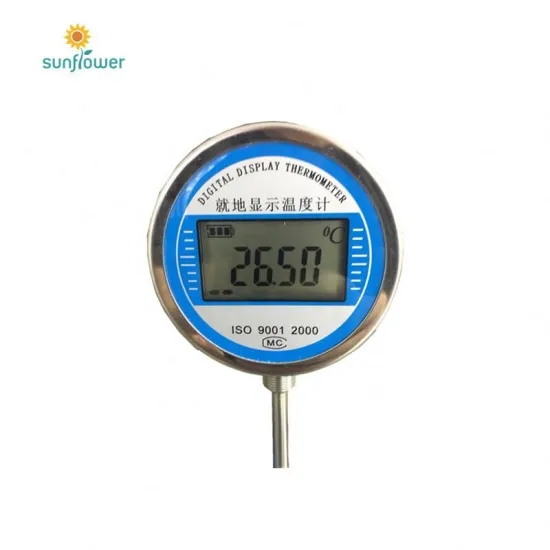Industrial Capillary Digital Thermometer: WST-DTM491 - Precision Temperature Measurement Solution