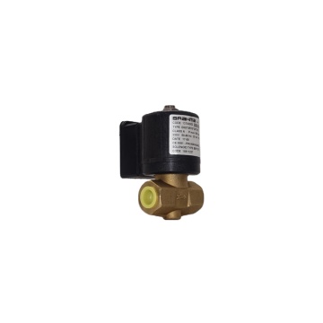 Brahma Gasmagnetventil E6G Serie 13923200 E6G*SR10*3/8*GFD
